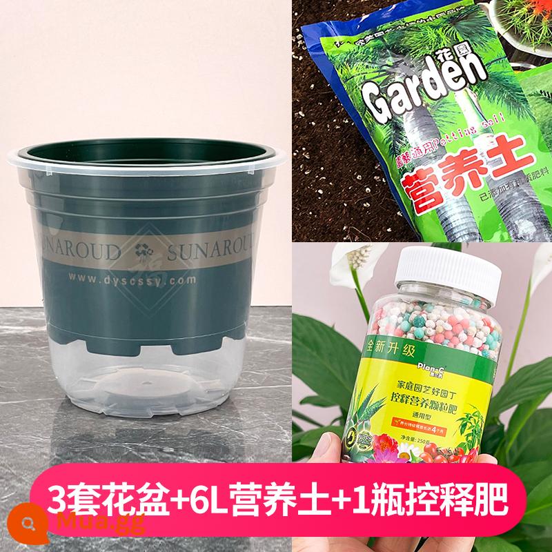 Chậu hoa lười tự hút nước nhựa trắng thủy canh Chlorophytum gold Chậu hoa mọng nước Ge 2022 đất mới giàu dinh dưỡng - Bộ chậu Gallon Gaofu [3 bộ] + Đất dinh dưỡng 6L + 1 chai phân bón nhả có kiểm soát