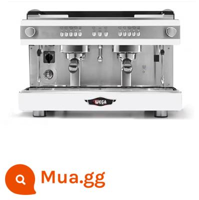 Máy pha cà phê WEGA Picasso PEGASO một đầu E61 bán tự động nhập khẩu Ý mẫu PLUS thương mại hai đầu - Phiên bản PLUS [màu trắng hai đầu] + gói quà tặng ngoại vi (yêu cầu giảm giá)