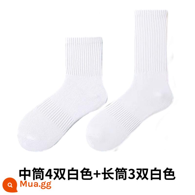 [Gửi 3 đôi cùng kiểu] 9 đôi tất cotton xuân thu Tân Cương, tất cotton nguyên chất, tất thể thao nam, tất khử mùi cho nữ - Tặng 4 đôi ống trắng + 3 đôi ống trắng dài [tặng 7 đôi kèm quà]