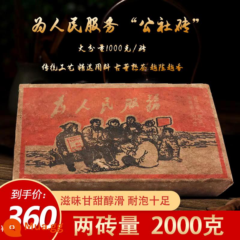 Phiên bản năm 1976 của Vân Nam Laobanzhang trà Pu'er nấu trà gạch phục vụ người dân trà Chenxiang loại đặc biệt 1000g - 2000g hai viên gạch (tiết kiệm chi phí hơn)