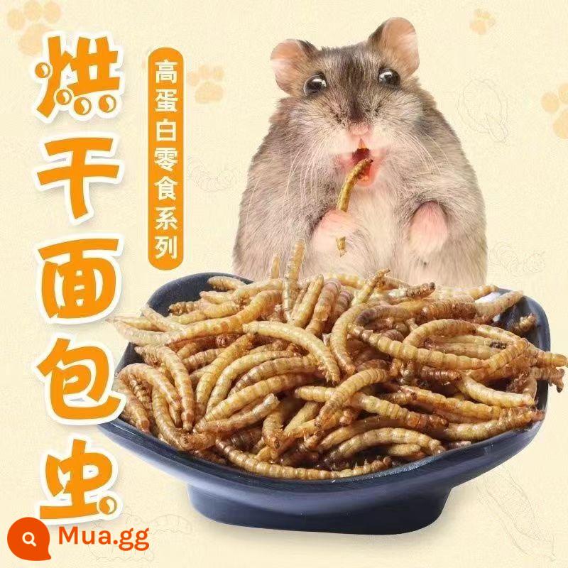 Hamster mùn cưa cát nước tiểu vàng nhỏ lụa vàng gấu trúc chinchilla đặc biệt mùn cưa bào giấy bông chăn ga gối khử mùi không bụi nguồn cung cấp mùa hè - 5 pound mùn cưa cao cấp [miễn phí lọ giun nhỏ]