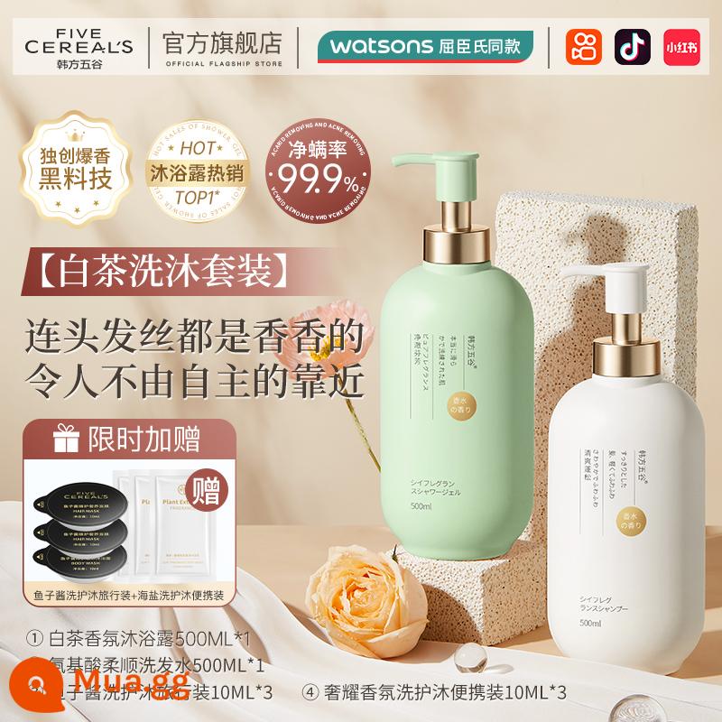 Sữa tắm axit amin Dầu gội lưu hương lâu 72h dành cho nam và nữ nước hoa loại body set hàng chính hãng - [Bộ chăm sóc nước hoa trà trắng] Sữa tắm hương thơm axit amin 500ml + Dầu gội axit amin 500ml