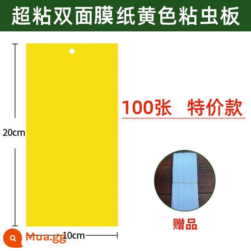 Bảng dính côn trùng Bảng màu vàng Bảng dính côn trùng hai mặt nhà kính đặc biệt bọ trĩ nhà bảng bẫy côn trùng một màu vàng và xanh sân vườn cây ăn quả - [Ưu đãi đặc biệt] Cán màng hai mặt 20*10, 100 tờ