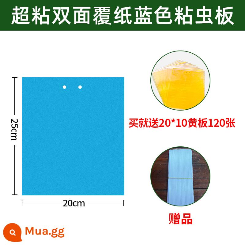 Bảng dính côn trùng Bảng màu vàng Bảng dính côn trùng hai mặt nhà kính đặc biệt bọ trĩ nhà bảng bẫy côn trùng một màu vàng và xanh sân vườn cây ăn quả - 100 tờ bảng xanh siêu dính 20*25 và 120 tờ bảng vàng 20*10