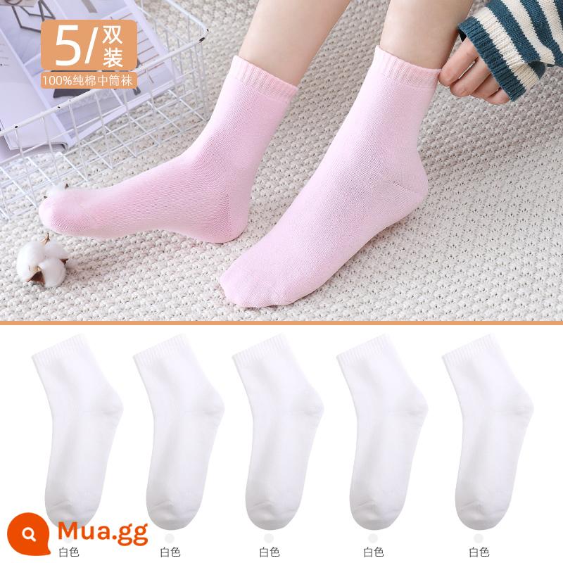 Vớ Langsha nam cotton nguyên chất mùa thu đông dày giữa ống Plus nhung ấm bông tất ống dài khăn sàn tất - Nữ 3687丨Trắng 5 đôi