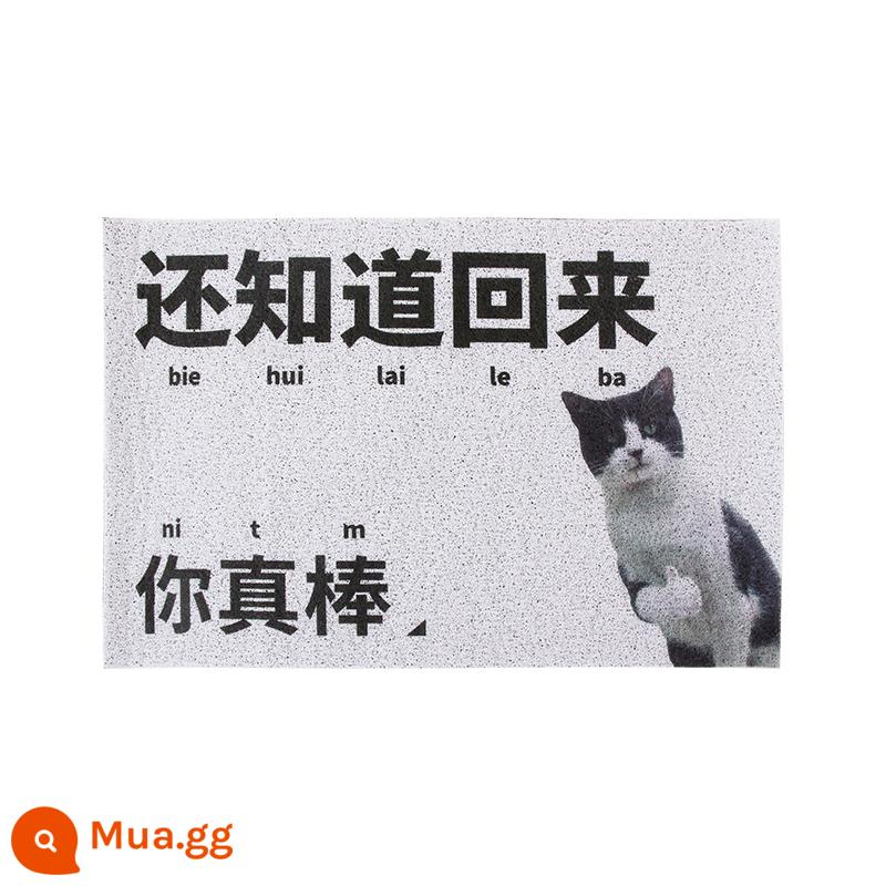 Bong Bóng Viên Lụa Vòng Tròn Sàn Ins Gió Động Vật Thảm Cửa Chống Trơn Trượt Loại Bỏ Bụi Thảm Chân Mục Nhập phòng Khách Nhà PVC - Bạn vẫn biết cách quay lại?