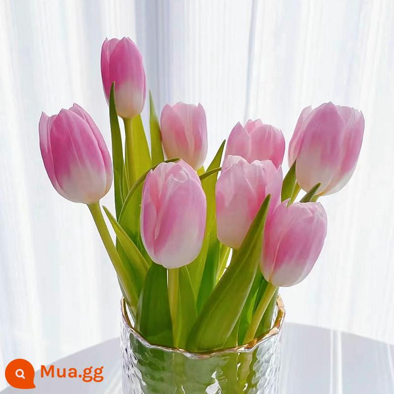 5 bông hoa tulip cộng với chai thủy tinh tròn đặt nước nuôi cấy 5 độ hạt bóng bốn mùa thu đông hoa lục bình chống lạnh - Bột Dynasty 5 miếng + bộ chai thủy tinh + sỏi trắng + dung dịch dinh dưỡng