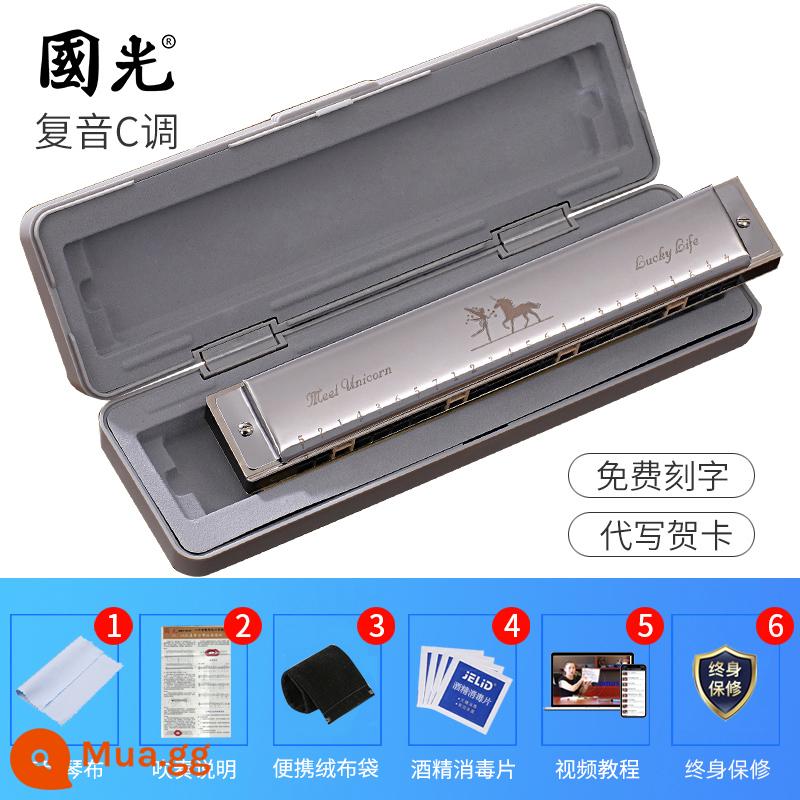 Đích thực Guoguang harmonica 24 lỗ đa âm C giai điệu người mới bắt đầu trẻ em học sinh người lớn nhập cảnh trình diễn chuyên nghiệp cao cấp - Tông C bạc [khuyên dùng cho người mới bắt đầu + gói quà tự học + video hướng dẫn]