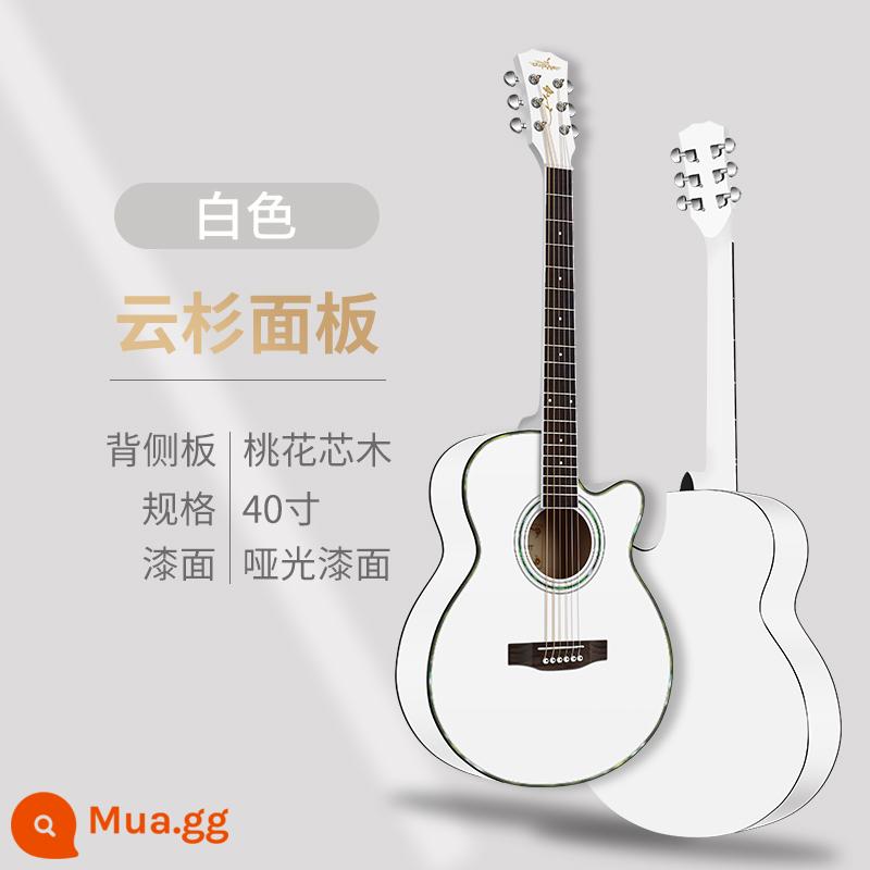 Đàn guitar acoustic một bảng 38 inch dành cho người mới bắt đầu dành cho nam và nữ đàn guitar dân gian đặc biệt 40 inch dành cho người mới bắt đầu đàn guitar đích thực - [Mẫu thông thường] AG 40 inch màu trắng + gói + giảng dạy