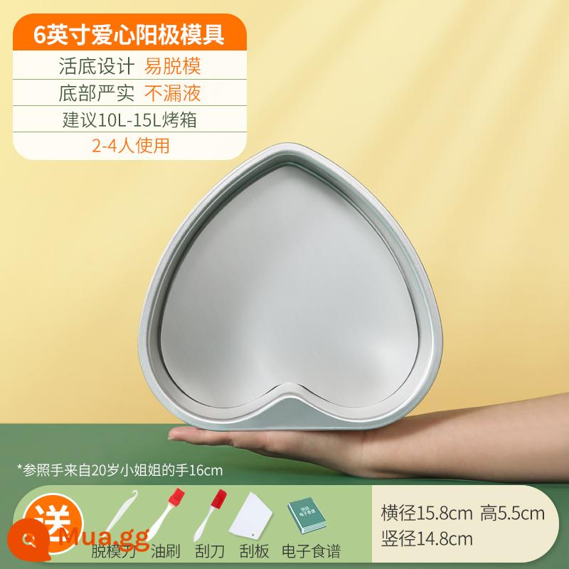 Khuôn Làm Bánh Voan Hộ Gia Đình Bộ Mousse Sống Đáy Lò Nướng Công Cụ Mài Mòn 468 6/8 Phôi 4 Inch - [Tình yêu] Đáy sống 6 inch + năm món quà tuyệt vời