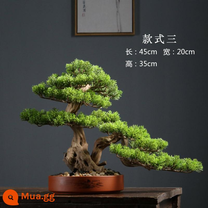 Thuja bonsai mô phỏng cây thông xanh chào đón cây bonsai đồ trang trí cảnh quan trang trí khách sạn cây mô phỏng hiên nhà cảnh quan nội thất - Cọc cũ kiểu ba