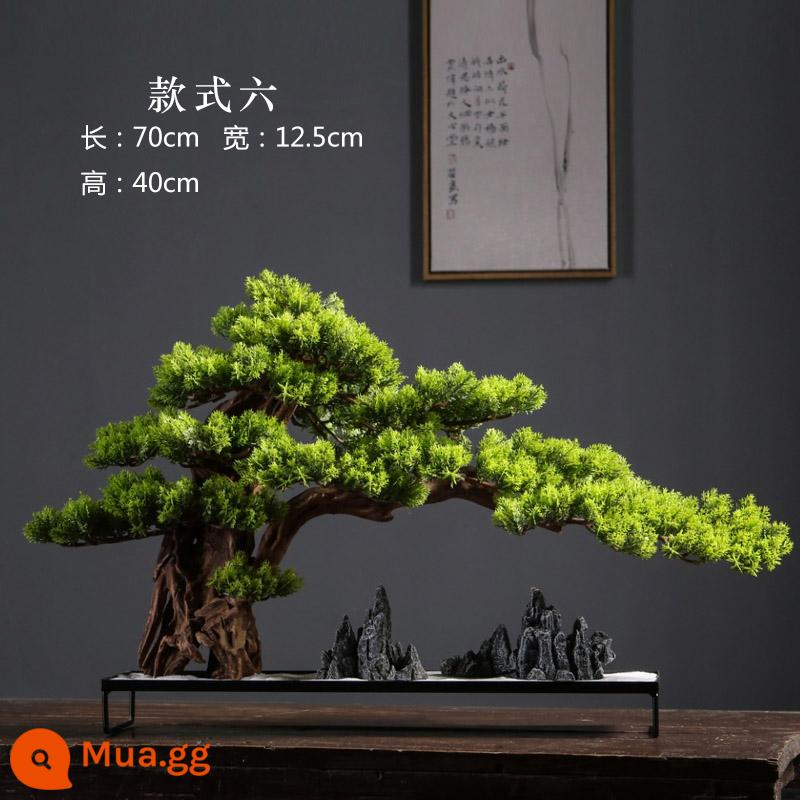 Thuja bonsai mô phỏng cây thông xanh chào đón cây bonsai đồ trang trí cảnh quan trang trí khách sạn cây mô phỏng hiên nhà cảnh quan nội thất - Cũ kiểu cọc sáu