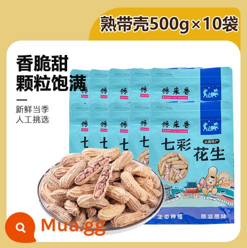 Hàng mới Vân Nam đậu phộng nhiều màu có vỏ sống và nấu chín gạo đậu phộng hoang dã nhiều màu hạt đậu phộng đen loại đặc biệt Pu'er đặc sản - [Nấu và bóc vỏ] Đậu phộng nhiều màu 10 pound, giòn