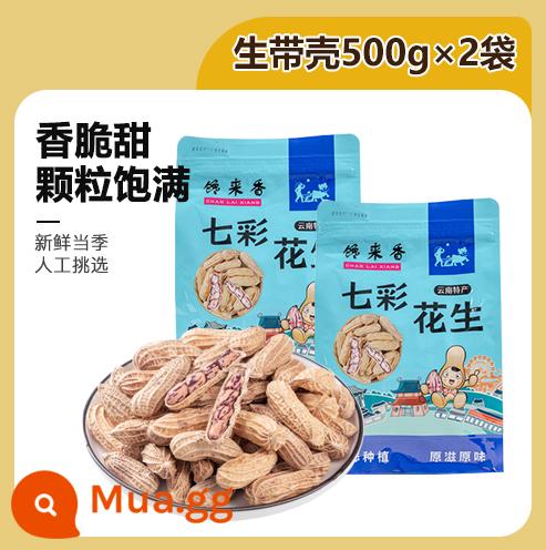 Hàng mới Vân Nam đậu phộng nhiều màu có vỏ sống và nấu chín gạo đậu phộng hoang dã nhiều màu hạt đậu phộng đen loại đặc biệt Pu'er đặc sản - Đậu phộng nhiều màu mới [nguyên vỏ] 2kg