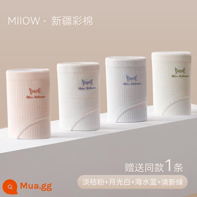 Quần Lót Catman Nữ Cotton Nguyên Chất Kháng Khuẩn Mùa Hè Mỏng Giữa Eo Liền Mạch Thoáng Khí Dễ Thương Quần Short Bé Gái Phong Cách Mới - Phong cách cổ điển [Mua bốn tặng một, 5 miếng] Hồng cam nhạt + trắng ánh trăng + xanh nước biển + xanh tươi + tặng thêm một mảnh cùng kiểu