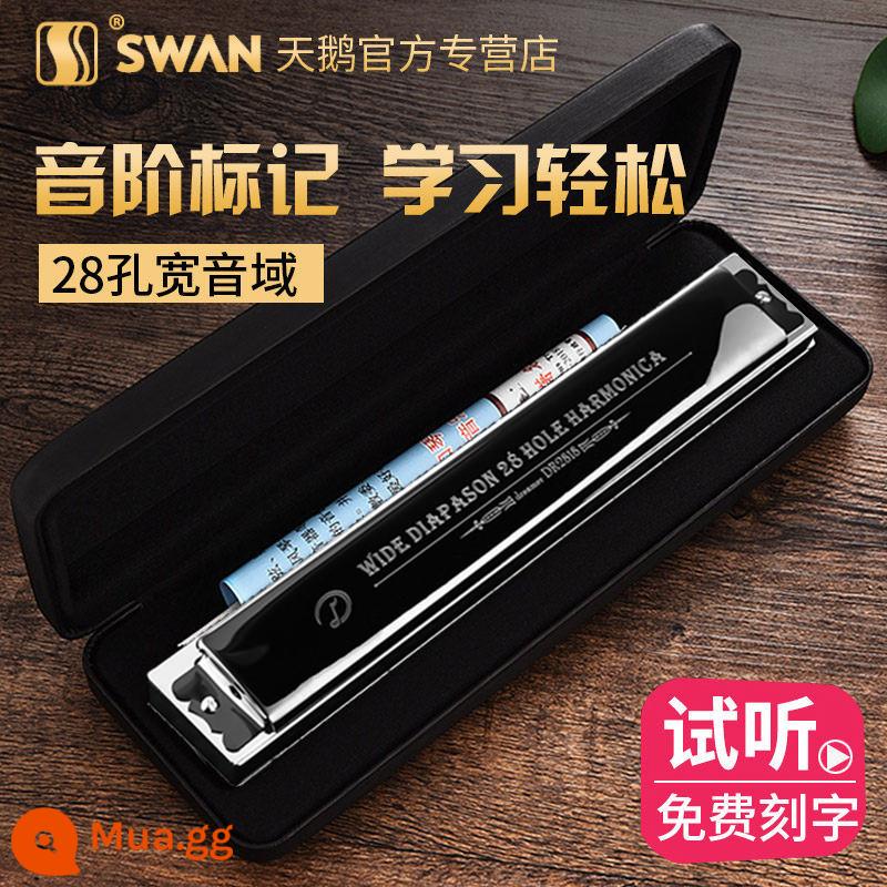 Cồng chiêng nhập khẩu Đức 28 lỗ kèn harmonica cao cấp chơi chuyên nghiệp dành cho người lớn phím C điểm nhấn cao cấp truy cập xác thực - Cung cấp cao cấp-28 lỗ tông màu đen nhấn c