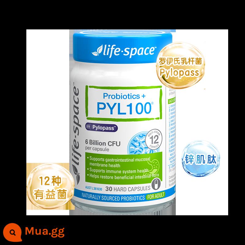 Úc nhập khẩu men vi sinh lifespace PYL100 bao tử Pylopass đường ruột viên chính thức bữa ăn thứ 4 - Men vi sinh PYL100 (vi khuẩn nuôi dưỡng dạ dày chuyên nghiệp, hãy chọn loại này nếu bạn khó chịu ở dạ dày!)