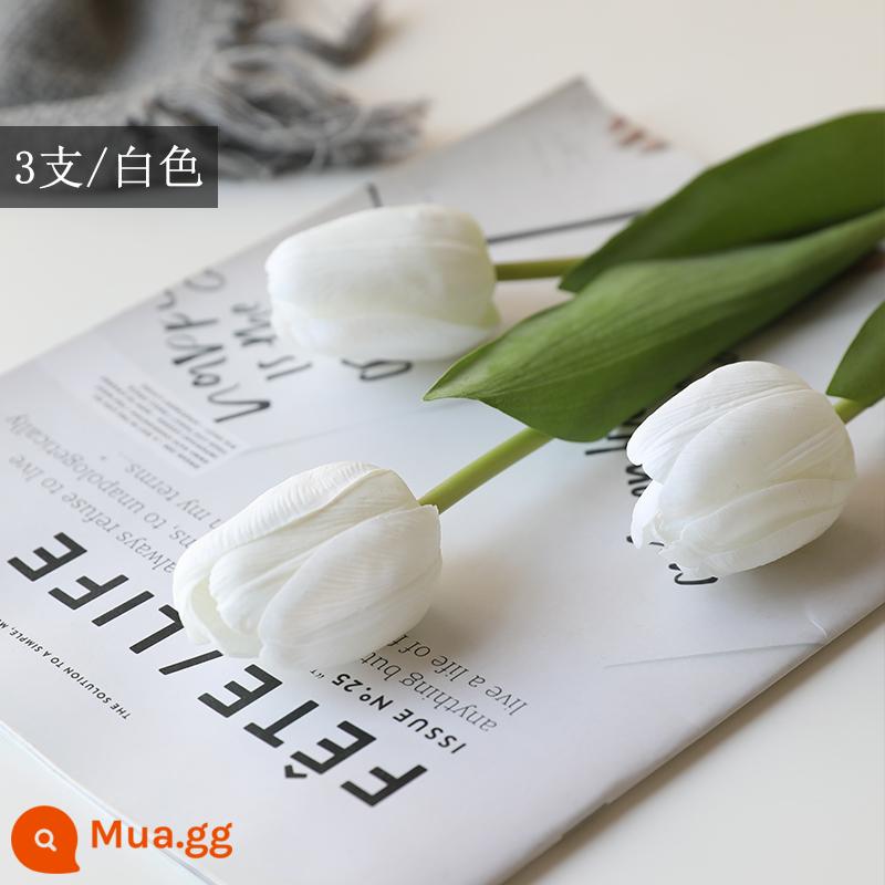 Mô Phỏng Bó Hoa Cảm Thấy Dưỡng Ẩm Tulip Cắm Hoa Cao Cấp Phòng Khách Trang Trí Bánh Cắm Hoa Giả Hoa Khô Màu Hồng - Gói 3 màu trắng [cảm giác ẩm ướt]