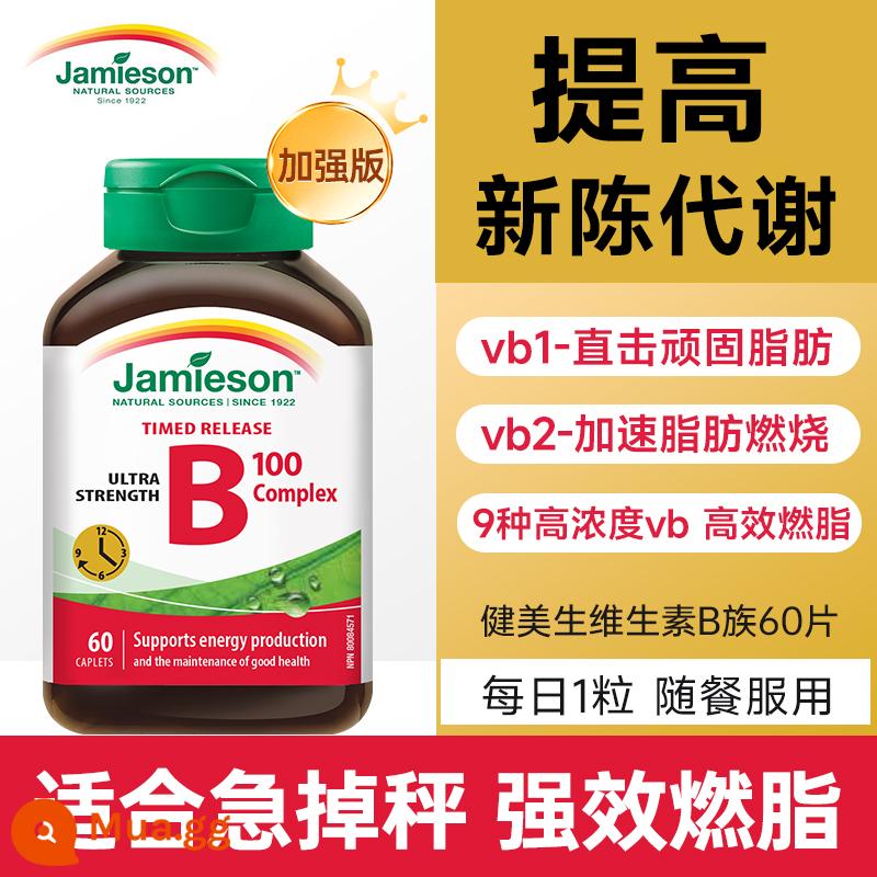 Phức hợp vitamin B của phụ nữ swisse cải thiện quá trình trao đổi chất, giảm mỡ, vitamin B của phụ nữ kiểm soát lượng đường - [Phiên bản nâng cao - Đốt cháy mỡ thừa mạnh mẽ, tạm biệt mỡ cứng đầu sau 60 ngày] Bodybuilding Vitamin B Complex 60 Viên