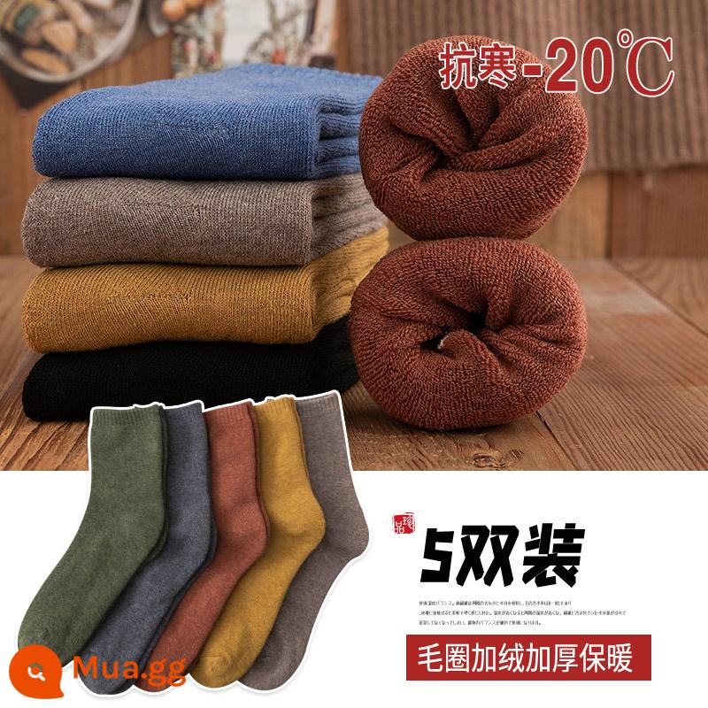 Vớ nam mùa đông cộng với nhung dày vòng tròn vớ cotton dài retro vớ dài mùa thu và khăn mùa đông tất - (B-246 tổ hợp 2) 5 đôi