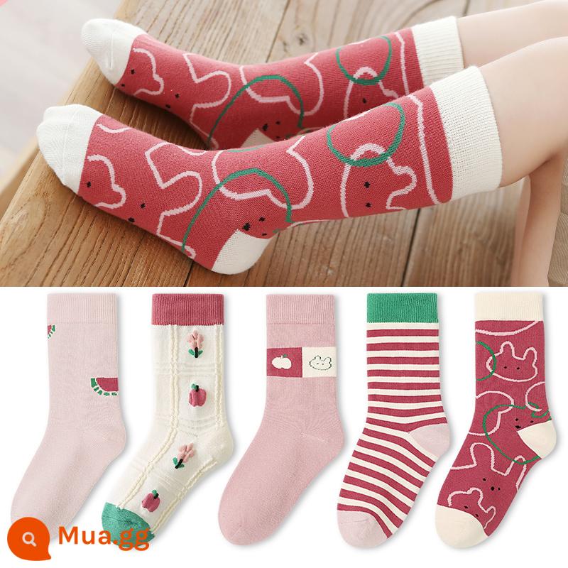 Chuột 6 ngón mùa thu và mùa đông dài ống cao bé gái ống giữa kéo dài trẻ em vớ cotton nguyên chất bé gái lớn bé trai mùa đông vớ nữ - 880C Rabbit Dreamland (mở rộng) 5 đôi