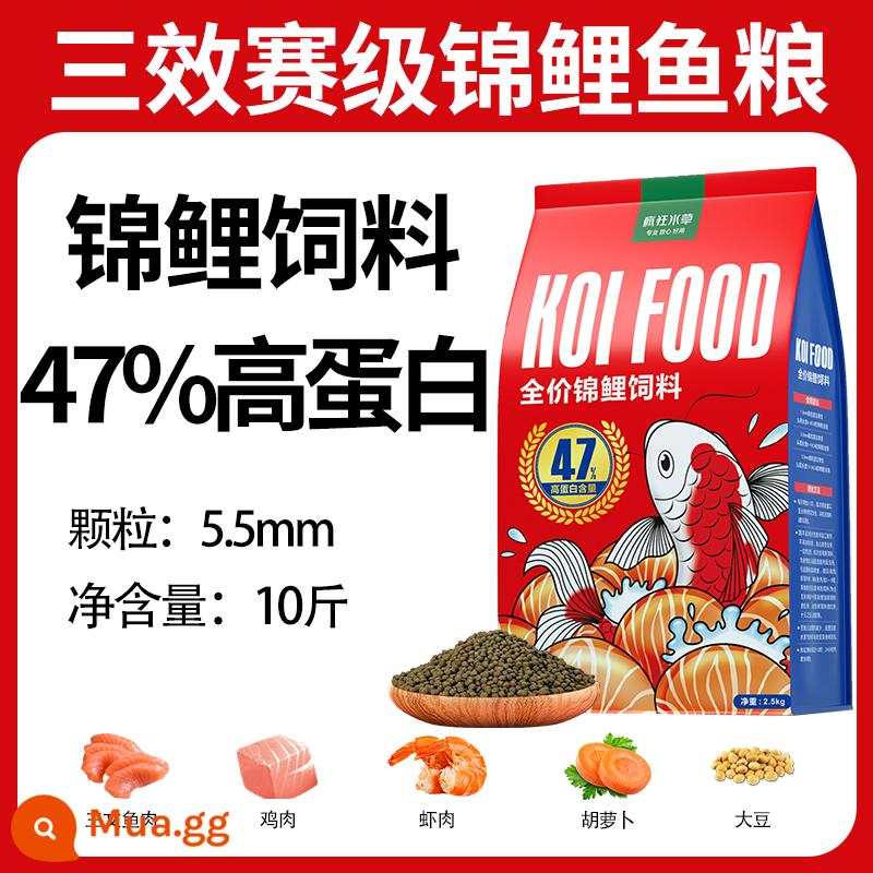 Thức ăn cho cá koi thức ăn cho cá tăng cường màu sắc cá vàng cá cảnh đặc biệt thức ăn cho cá chép thức ăn cho cá thức ăn hạt nhỏ nuôi cá koi nói chung - Thức ăn cho cá koi cấp ba cạnh tranh 5,5mm 10 catties