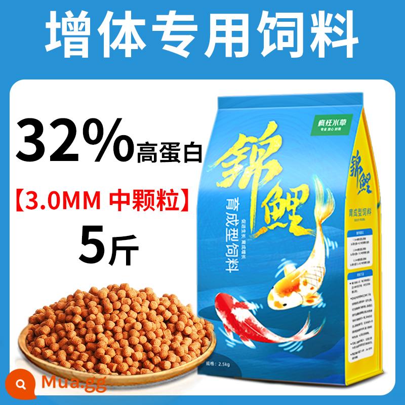 Thức ăn cho cá koi thức ăn cho cá tăng cường màu sắc cá vàng cá cảnh đặc biệt thức ăn cho cá chép thức ăn cho cá thức ăn hạt nhỏ nuôi cá koi nói chung - Thức ăn nuôi cá 3mm 5kg