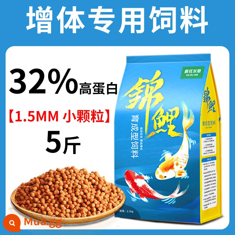 Thức ăn cho cá koi thức ăn cho cá tăng cường màu sắc cá vàng cá cảnh đặc biệt thức ăn cho cá chép thức ăn cho cá thức ăn hạt nhỏ nuôi cá koi nói chung - Thức ăn cho cá giống 1.5mm 5kg