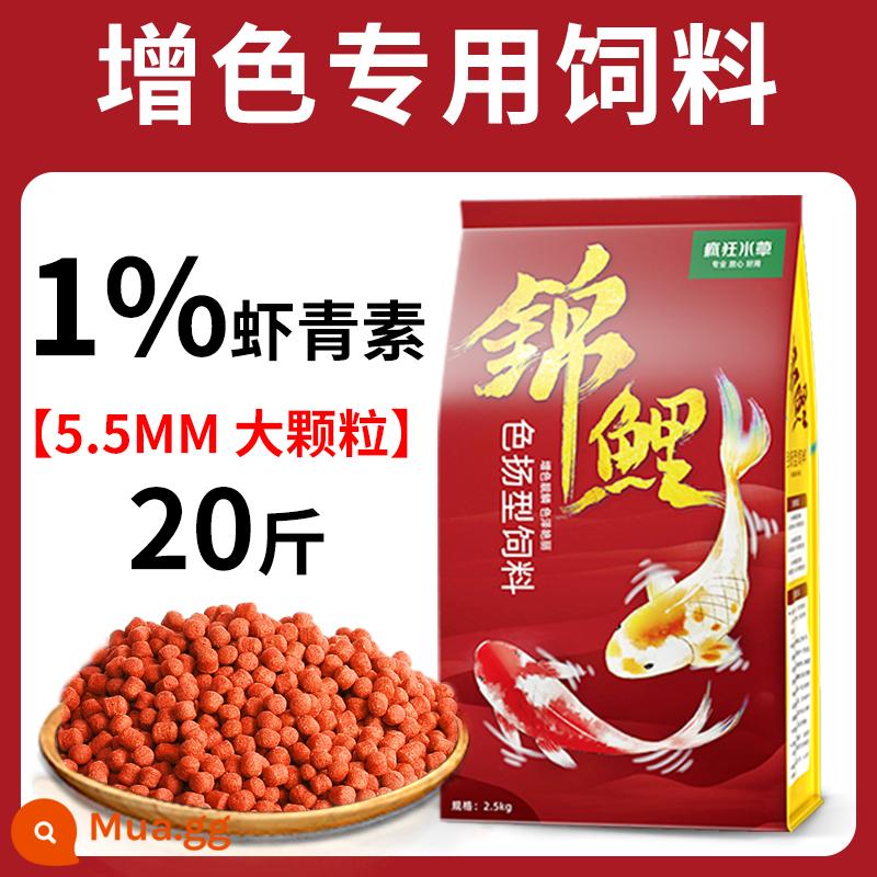 Thức ăn cho cá koi thức ăn cho cá tăng cường màu sắc cá vàng cá cảnh đặc biệt thức ăn cho cá chép thức ăn cho cá thức ăn hạt nhỏ nuôi cá koi nói chung - Thức Ăn Cá Seyang Zengyan 5.5mm 20 catties