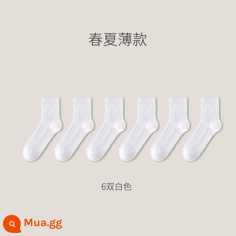 Tất cotton Tân Cương nam ống giữa cotton nguyên chất mùa đông dày dặn khử mùi ống dài kinh doanh thu đông đen cotton nam - Mẫu mỏng xuân hè: 6 đôi màu trắng