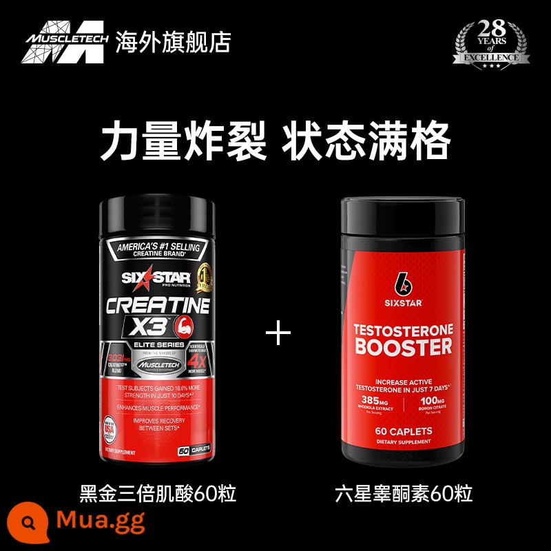 Công nghệ cơ bắp Viên nén Creatine hợp chất Tập thể hình Bổ sung cơ bắp Magiê không kẽm Magiê Monohydrat Bột Creatine Protein Bột xây dựng cơ bắp Bơm nitơ - Tham khảo dịch vụ khách hàng>>Kết hợp với kích thích tinh hoàn>Hưởng mức giá chiết khấu thấp hơn>Không chụp trực tiếp