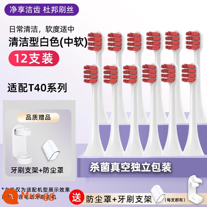 Chỉ thích hợp cho ROAMAN/Roman T40 bàn chải đánh răng điện đầu bàn chải đầu bàn chải đặc biệt đầu thay thế HT30 cẩn thận máy T40 - Trắng 12 miếng [Thích ứng với T40]