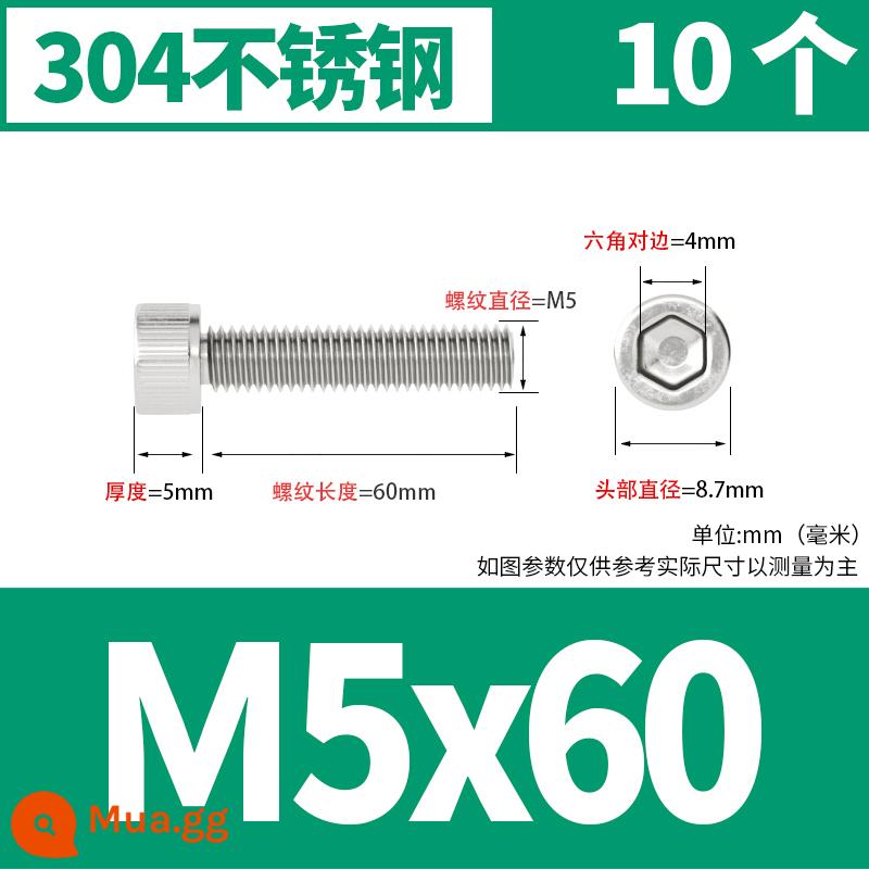 Thép không gỉ 304 cốc đầu lục giác vít đầu trụ vít nối dài 10mm bu lông M2M3M4M5M6M8 - M5*60[10 cái]