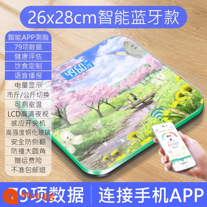 Cân điện tử Hengyi Cân hộ gia đình Cân đo lượng mỡ trong cơ thể Đo chính xác lượng mỡ Cân thông minh Cân gia đình nhỏ Sạc - Sakura Forest-Bluetooth APP (Mẫu sạc)