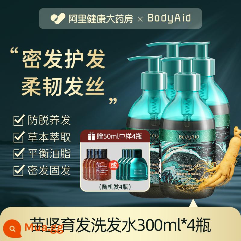 Bodyaid bồ kết lá gừng dầu gội chống rụng tăng tóc chắc tóc mọc chắc chân kiểm soát dầu gội mềm mượt - Dầu gội chống rụng tóc Miaojian 300ml*4 chai [giảm giá thêm]