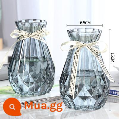 [Bộ hai món] Bình thủy tinh phong cách châu Âu màu trong suốt bình trồng cây thủy canh trang trí phòng khách bình trang trí - 15 Xinnuo (2 màu xám)