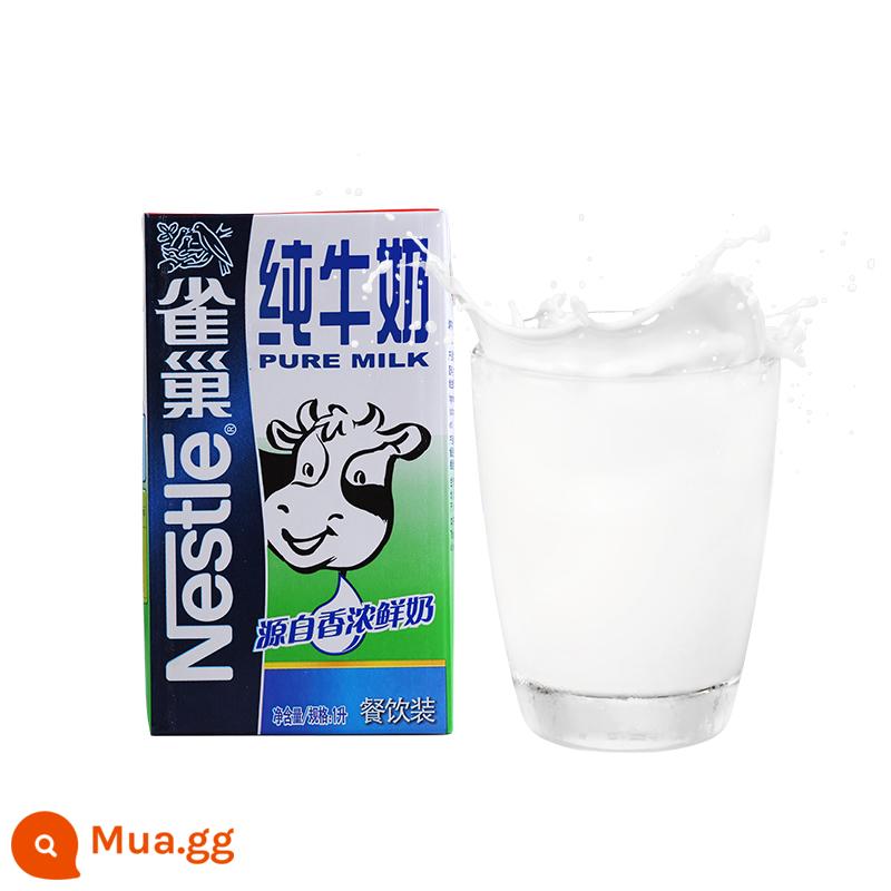 Sữa nguyên chất Nestlé Nestle 1L hộp đầy đủ sữa nguyên chất phục vụ thương mại cà phê latte art quán trà sữa đặc biệt - Sữa nguyên chất Nestle hộp 1L*3