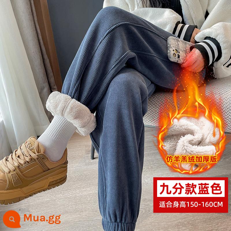 Sherpa Nhung Dài Thấm Hút Mồ Hôi Cho Nữ Mùa Thu Đông Plus Nhung Dày Châu Âu Cotton Nhung Cây Ra Hoa Rời Ấm Quần Ren - Haze xanh chín điểm (giả sherpa)