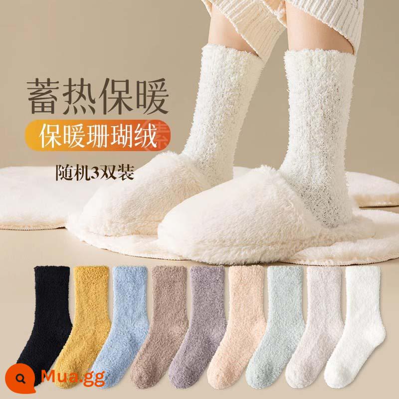 Tất dành cho nữ trong mùa thu đông tất cotton dài ấm áp bằng nhung dành cho nữ Tất dài đến giữa bắp chân cho nữ Đôi tất có đáy khăn bông mùa đông - [3 đôi nhung san hô] S0911 3 đôi ngẫu nhiên