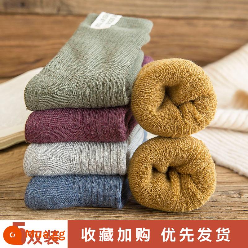 Tất dành cho nữ trong mùa thu đông tất cotton dài ấm áp bằng nhung dành cho nữ Tất dài đến giữa bắp chân cho nữ Đôi tất có đáy khăn bông mùa đông - [5 đôi] 1301-4 Mỗi màu một đôi