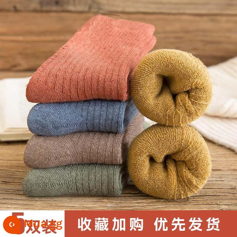 Tất dành cho nữ trong mùa thu đông tất cotton dài ấm áp bằng nhung dành cho nữ Tất dài đến giữa bắp chân cho nữ Đôi tất có đáy khăn bông mùa đông - [5 đôi] 2301-8 Mỗi màu một đôi