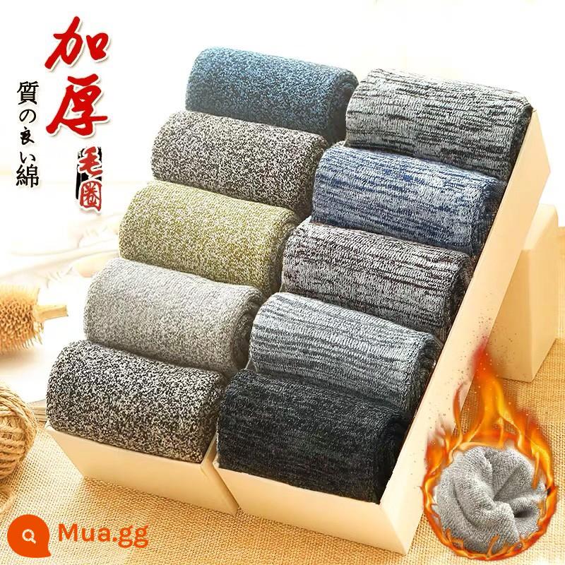 Vớ Nam Mùa Đông Plus Nhung Dày Ấm Len Nam Ống Dài Vớ Cotton Nguyên Chất Mùa Đông Đũi Giữa Ống khăn Tất - (Tổng cộng 15 đôi) [Lông cừu và dày] X0309+5 đôi tất dài đến giữa bắp chân