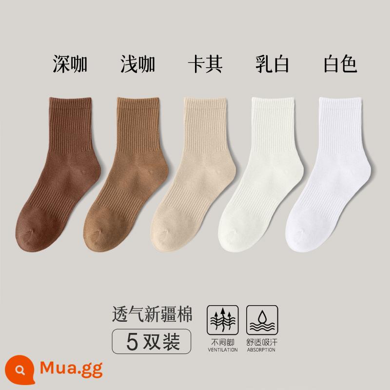 Tất dài đến bắp chân nam cotton nguyên chất chống mùi thấm hút mồ hôi vớ thể thao mùa thu đông Tất dài nam bắp chân mùa thu Tất cotton dài bắp chân nam mùa thu - [5 đôi] 2265-11 (cà phê đậm, cà phê nhạt, kaki, trắng sữa)