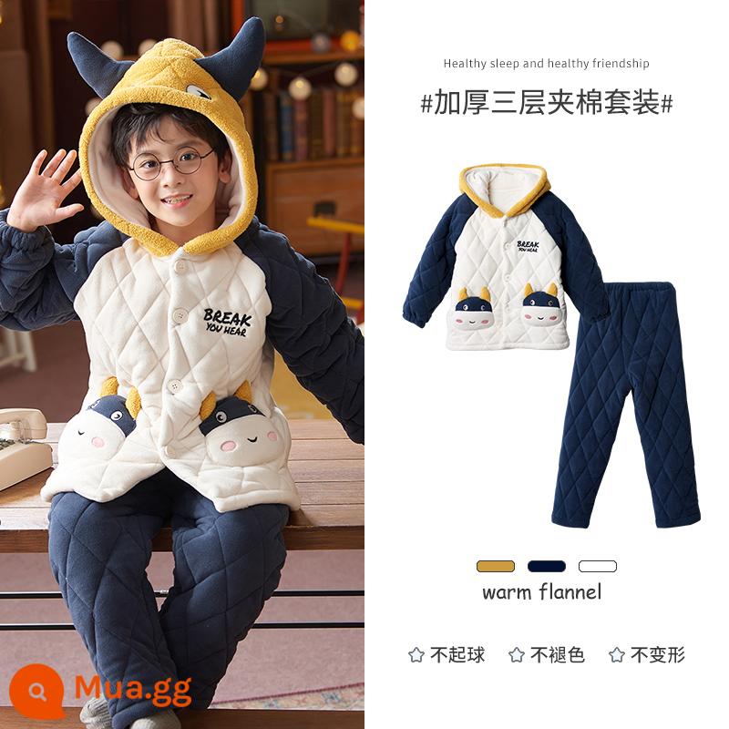 Mùa Thu Đông 3 Lớp Cotton Bộ Đồ Ngủ Trẻ Em Dày Nỉ San Hô Bé Trai Khủng Long Dép Nỉ Mới Bé Trai Nhà Quần Áo - J280 (mẫu thông thường)