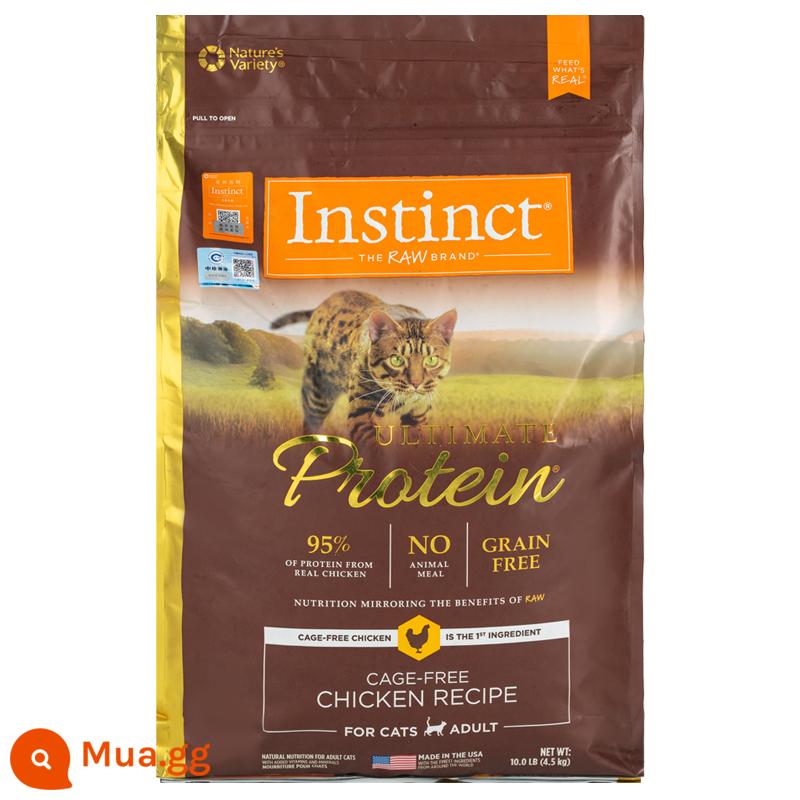 Thức ăn cho mèo Bailey Fresh Instinct protein chất lượng cao không hạt gà vịt trưởng thành mèo con mèo con thức ăn cho mèo nguyên con 11 lbs - Protein cao cấp 4 lbs (2024.09