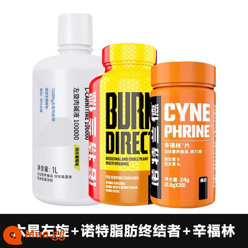 Notland L-carnitine 100.000 gói xách tay thể dục L-carnitine 200.000 L-carnitine 100.000 gói dùng thử - Vòng quay chữ L sáu sao + Chất kết thúc mỡ Knott + synephrine