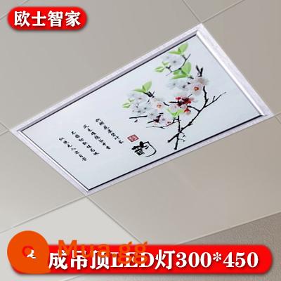 300x450led panel ánh sáng tích hợp âm trần nhúng khóa nhôm tấm phòng khách nhà bếp âm trần LED30x45 - 300*450 (lan thung lũng trống) bạc