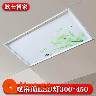 300x450led panel ánh sáng tích hợp âm trần nhúng khóa nhôm tấm phòng khách nhà bếp âm trần LED30x45 - 300*450 (đèn flash trong chảo) màu trắng