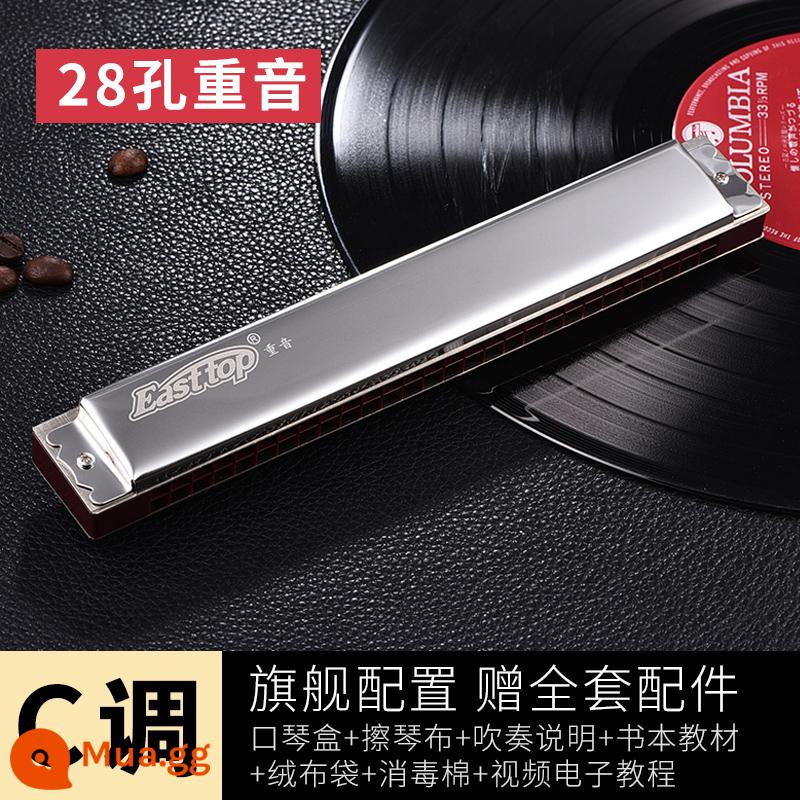 Kèn harmonica 28 lỗ 28 lỗ, kèn harmonica sậy phương Đông, cao cấp T28-1, đa âm đẳng cấp trình diễn chuyên nghiệp, giai điệu #CABDEFG - 28 lỗ nhấn bạc [Tone C] + trọn gói quà tặng