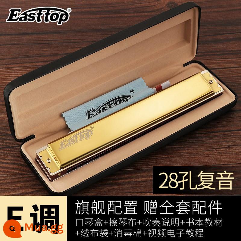 Kèn harmonica 28 lỗ 28 lỗ, kèn harmonica sậy phương Đông, cao cấp T28-1, đa âm đẳng cấp trình diễn chuyên nghiệp, giai điệu #CABDEFG - Vàng đa âm 28 lỗ [phím E]